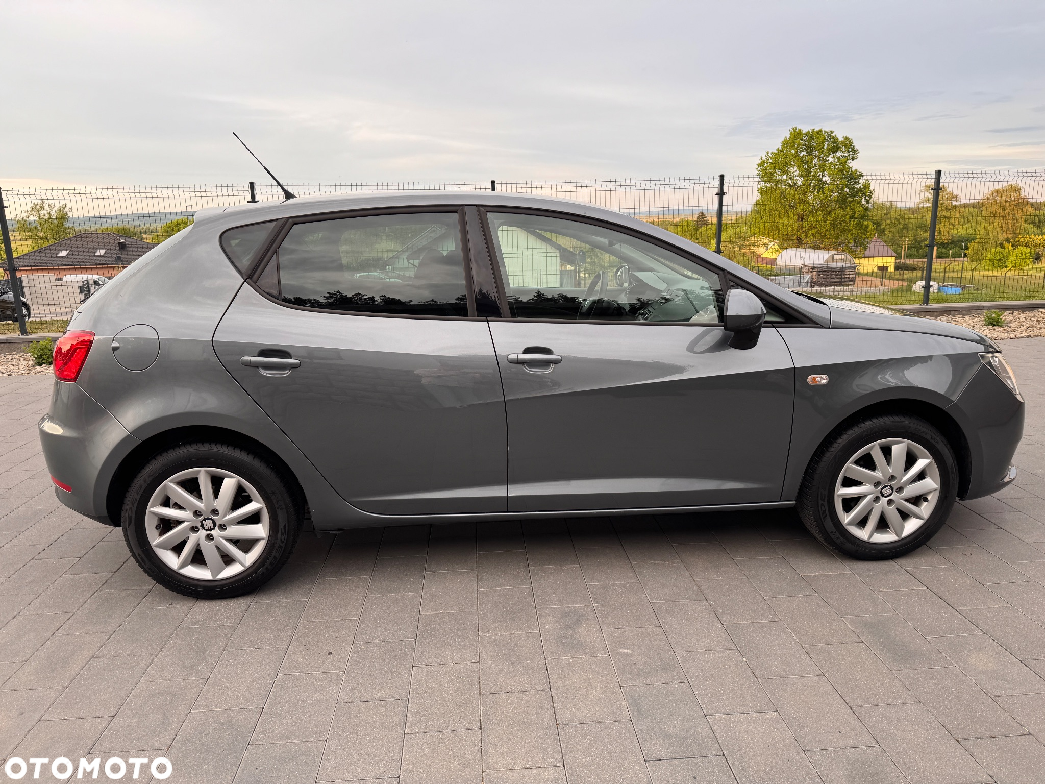 Seat Ibiza - 6