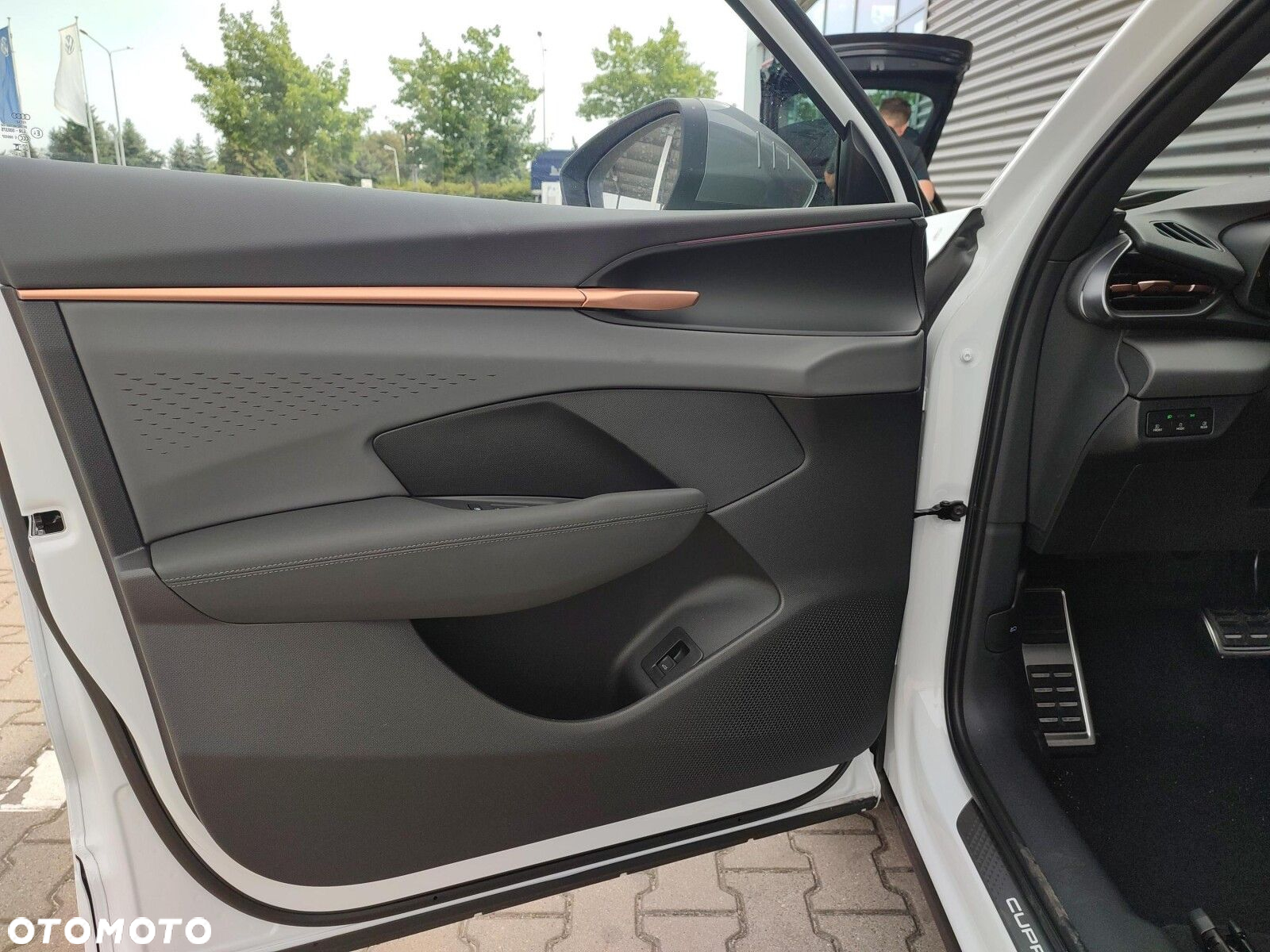 Cupra Terramar - 10