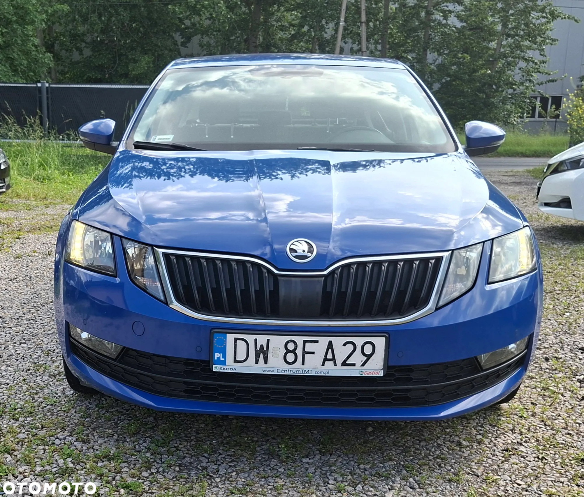 Skoda Octavia 1.5 TSI ACT Drive - 6