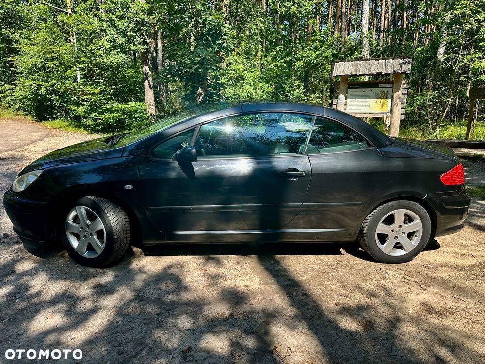 Peugeot 307 - 6