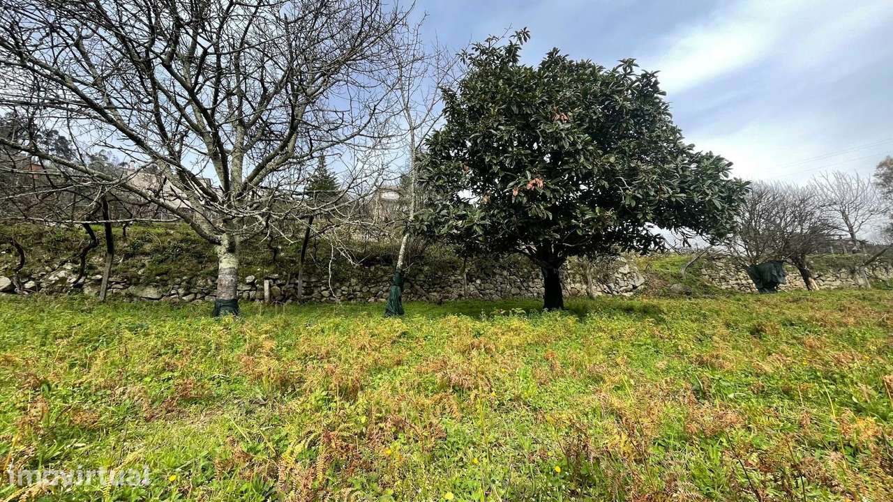 Terreno Rústico  Venda em Ancede e Ribadouro,Baião - Grande imagem: 5/9