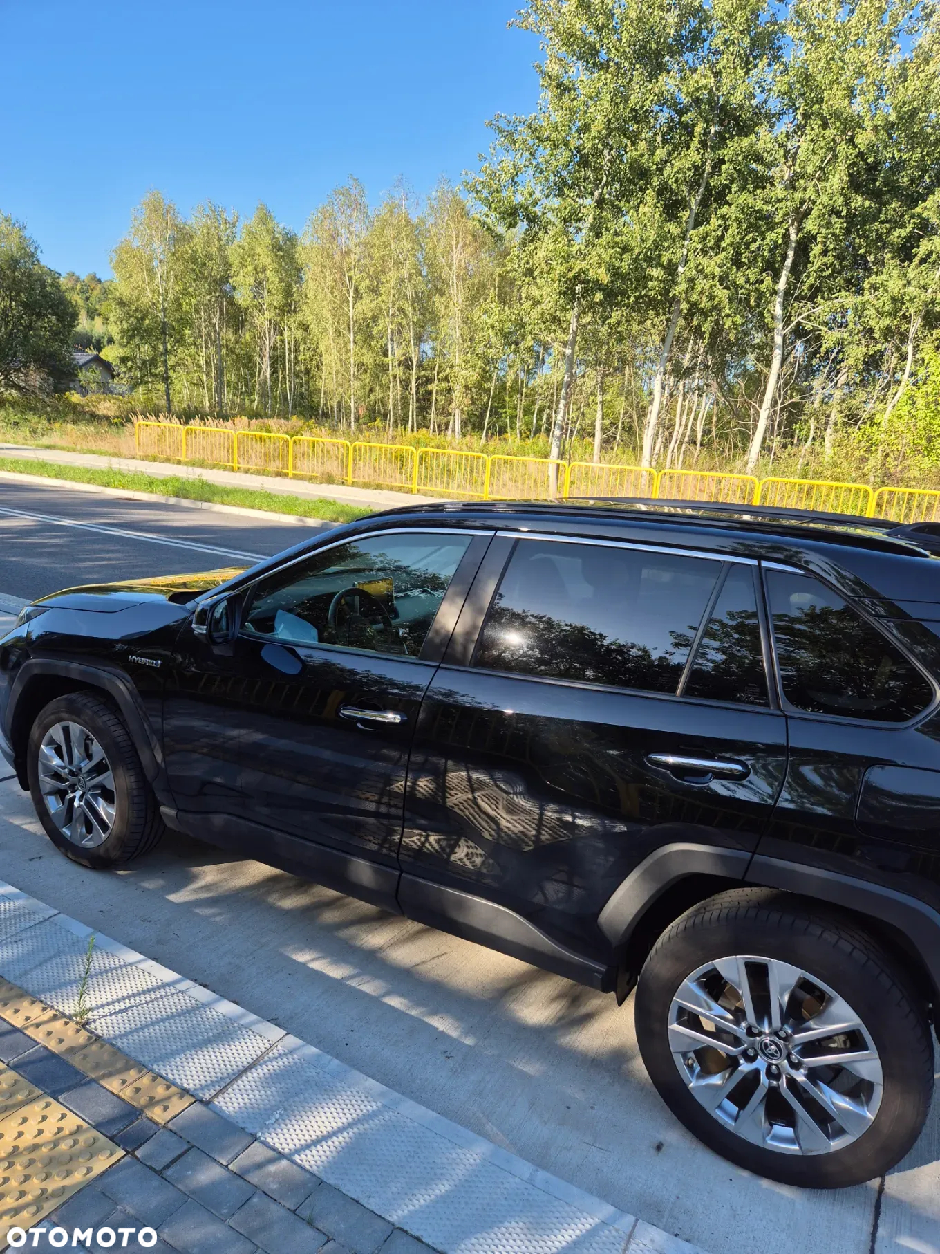 Toyota RAV4 2.5 Hybrid Executive 4x4 - 14