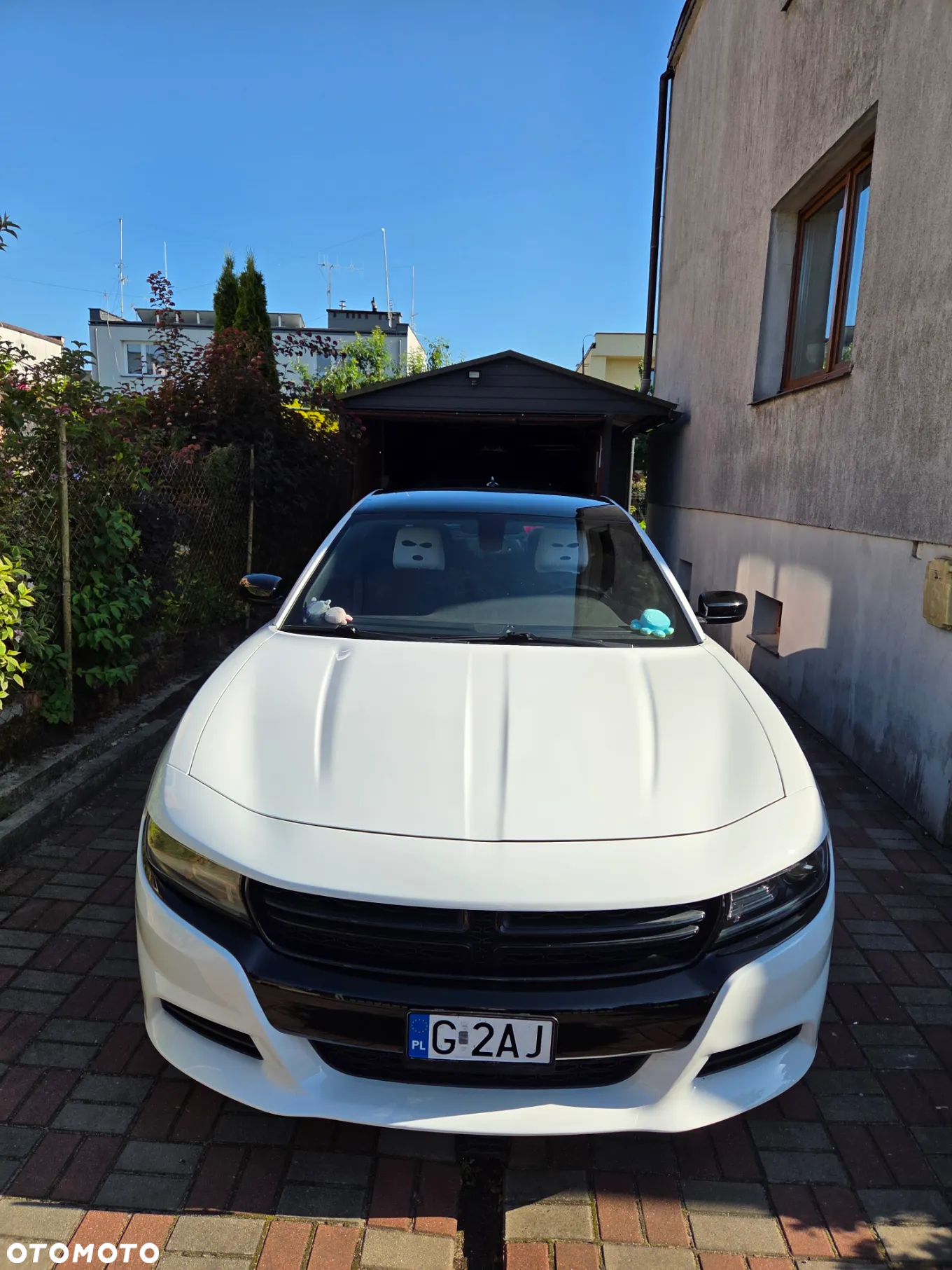 Dodge Charger 3.6 GT - 2