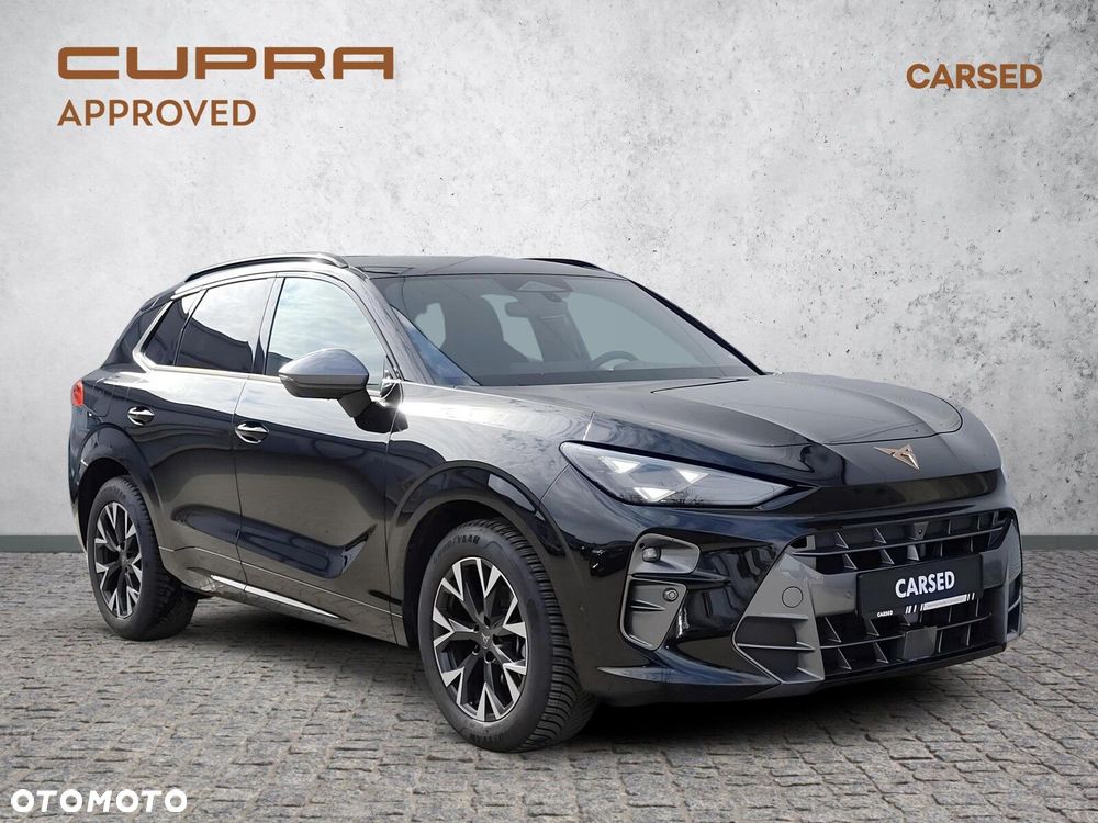 Cupra Terramar - 9