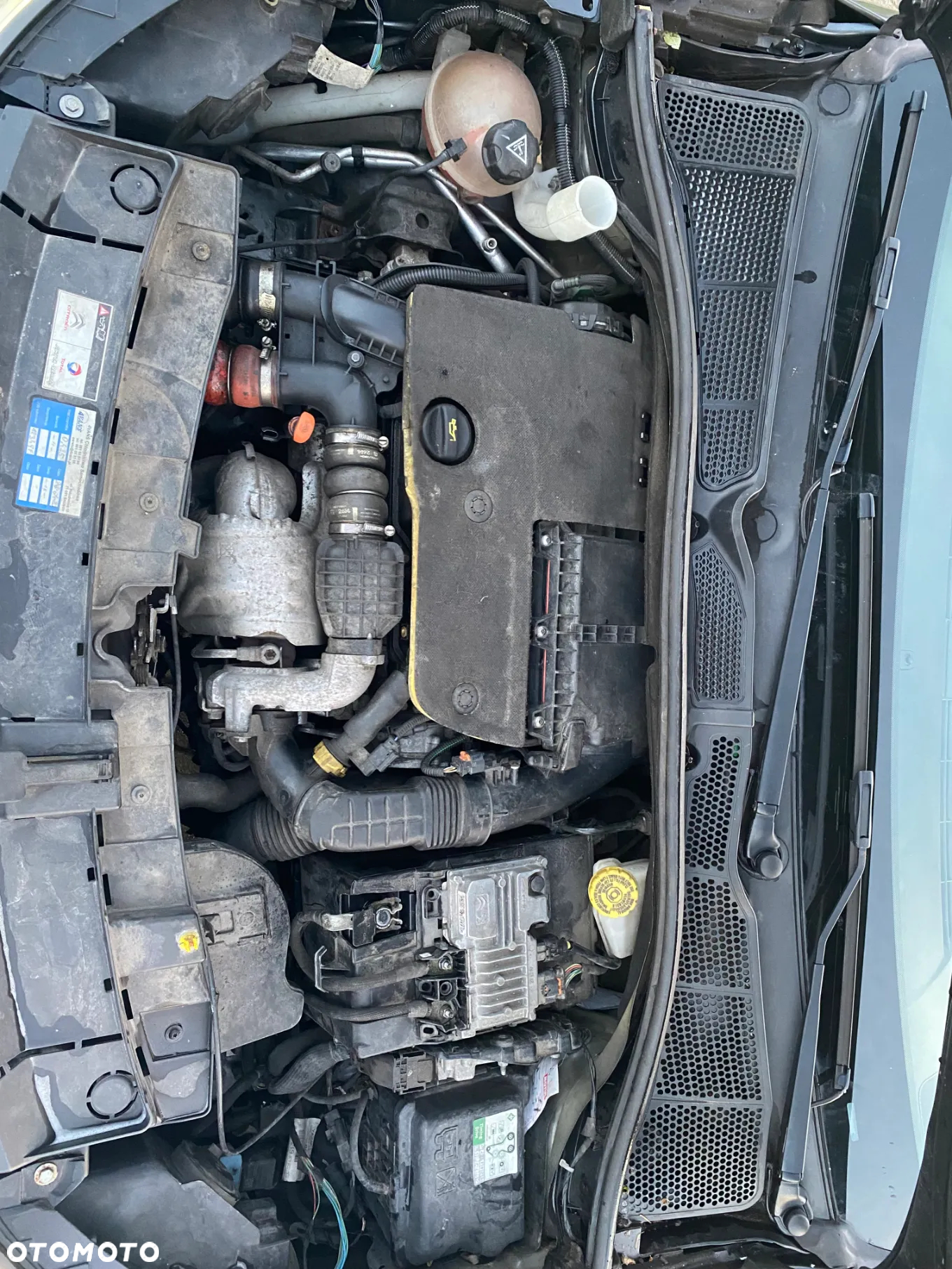Citroën C4 Cactus 1.6 Blue HDi Shine - 18