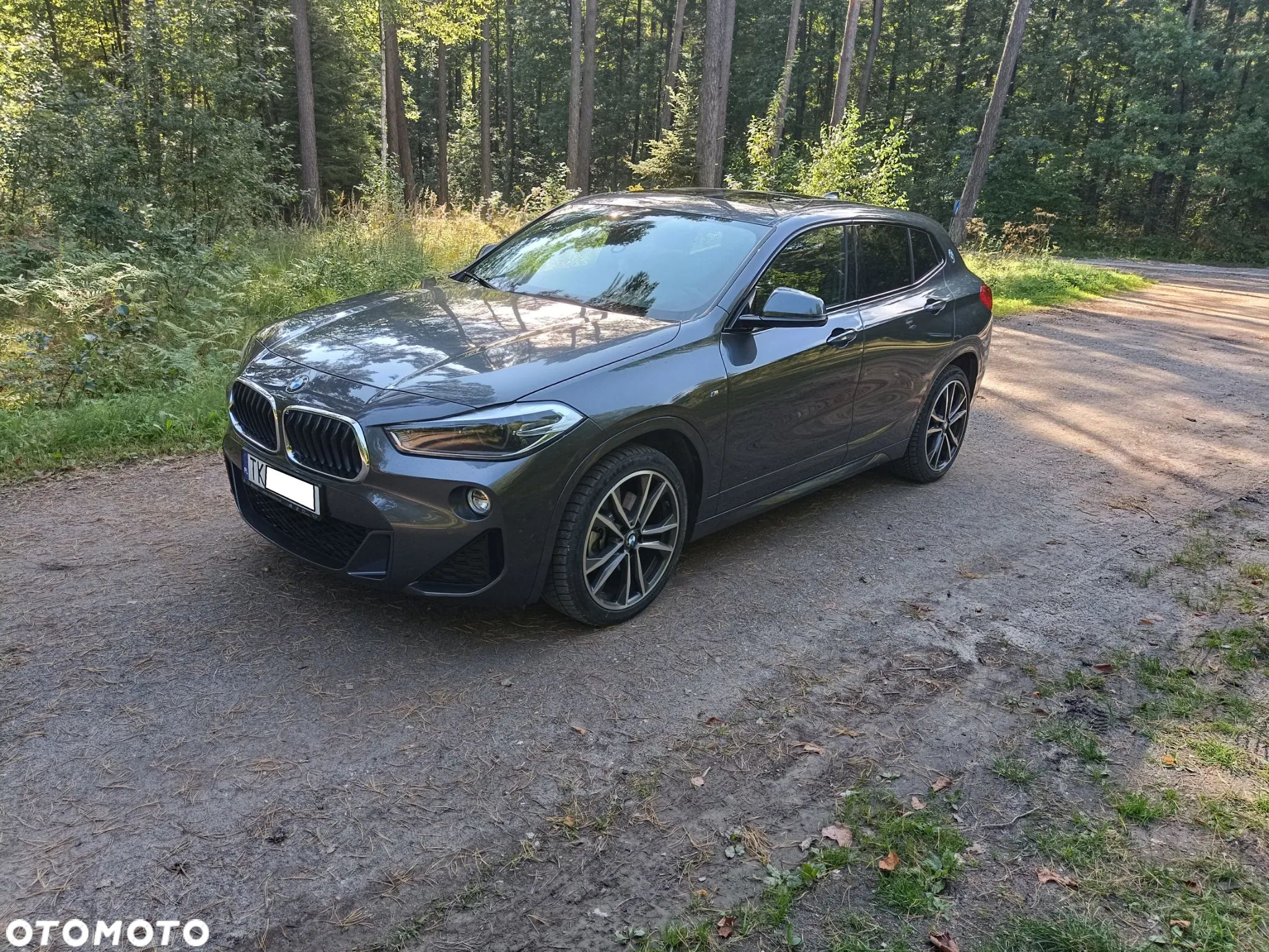 BMW X2 - 1