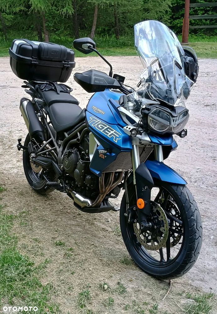 Triumph Tiger - 1
