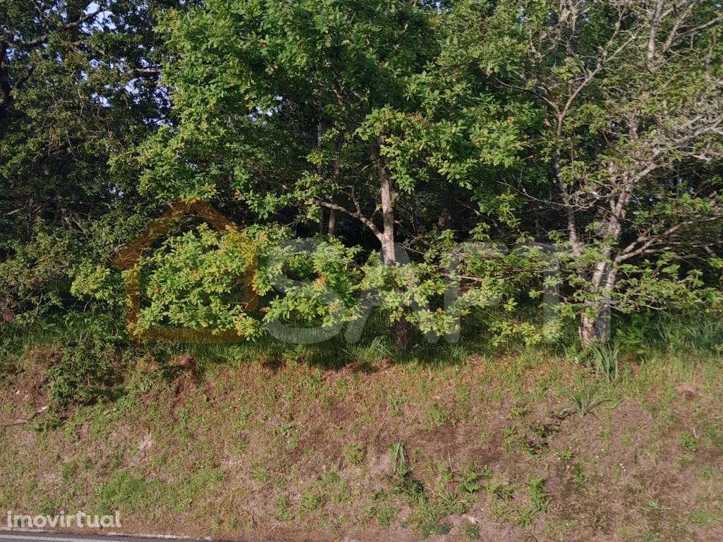 Terreno com excelente localização - Grande imagem: 2/4