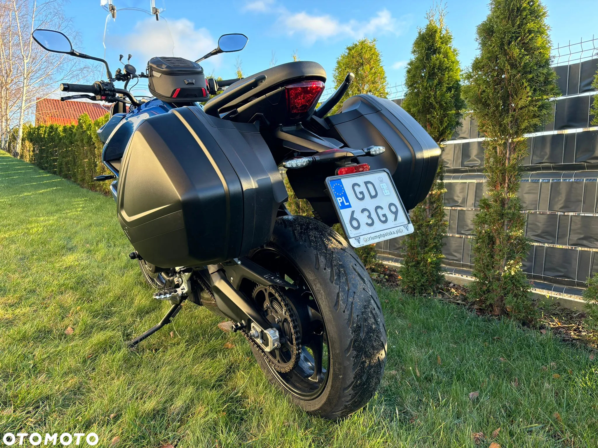 Triumph Tiger - 5