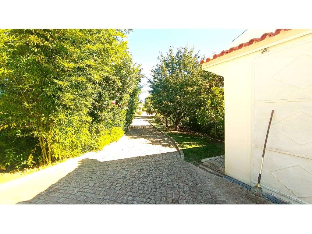 MORADIA T3 COM PISCINA COBERTA , QUINTAL E 2 GARAGENS, BELMONTE, BE... - Grande imagem: 5/60