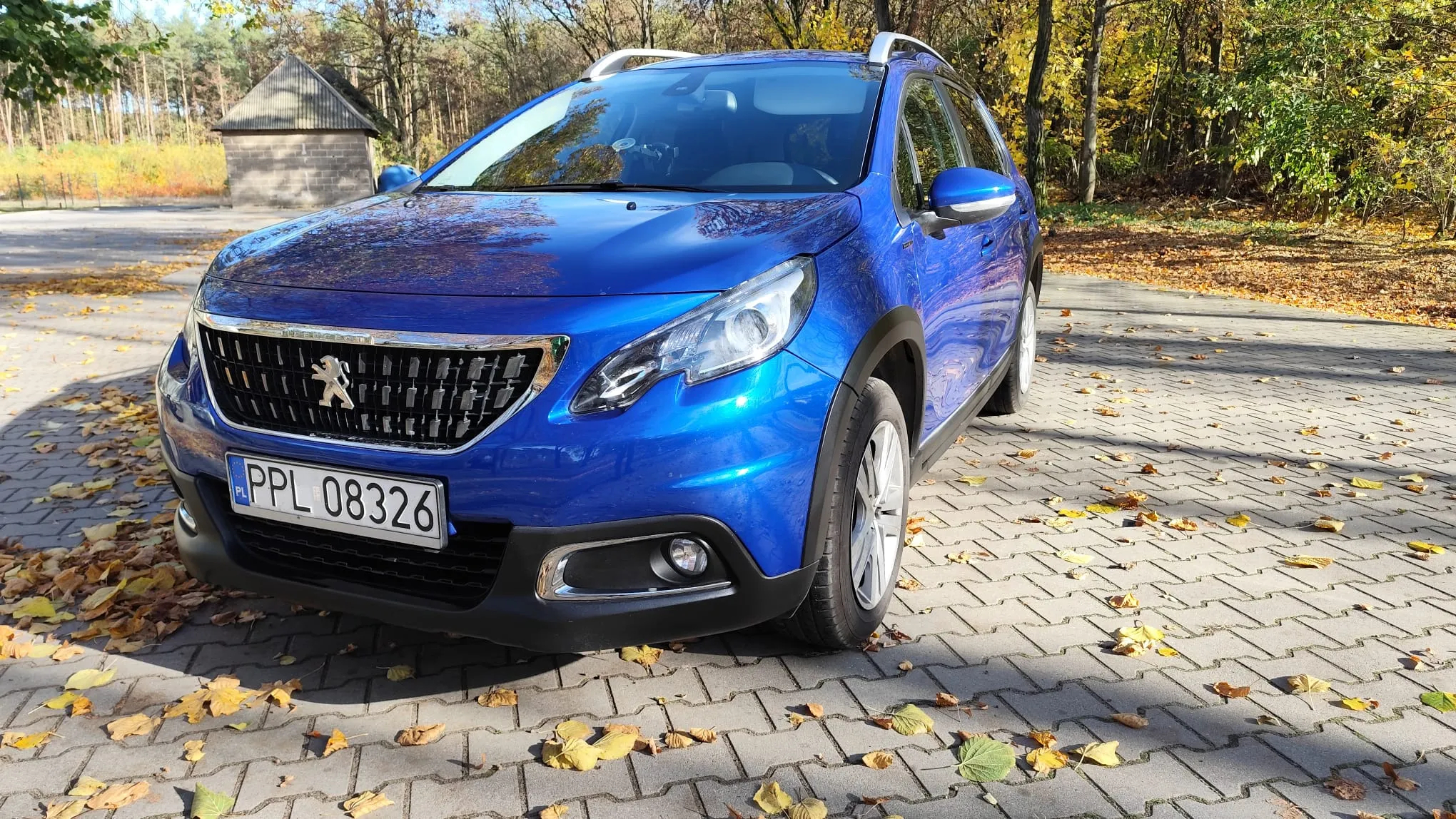 Peugeot 2008 1.5 BlueHDi Active S&S - 3