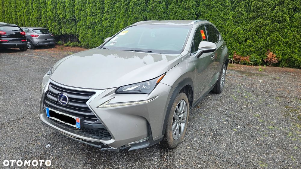 Lexus NX 300 AWD - 2