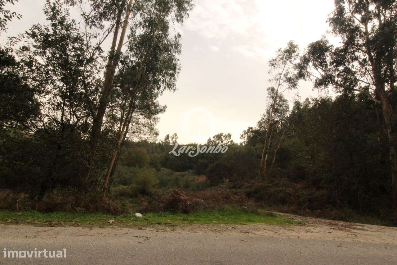Terreno com 22.500m2 área S. Gens Fafe - Grande imagem: 2/4
