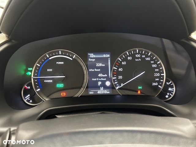 Lexus RX 450h F-Impression - 7