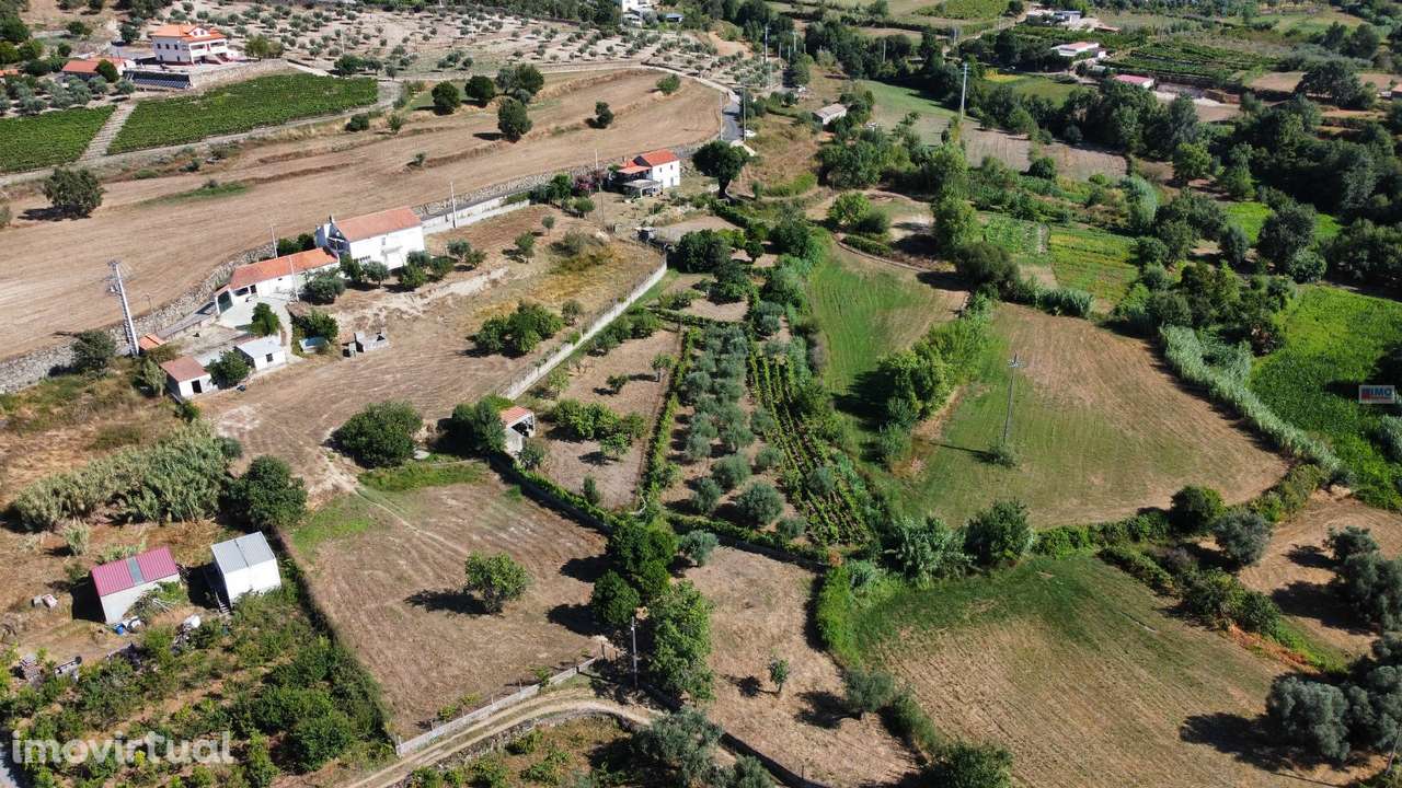 Quinta c/ Habitação - Teixoso - Grande imagem: 5/38