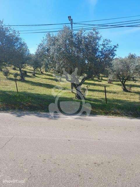 Terreno rústico com possibilidade de construção - Grande imagem: 3/7