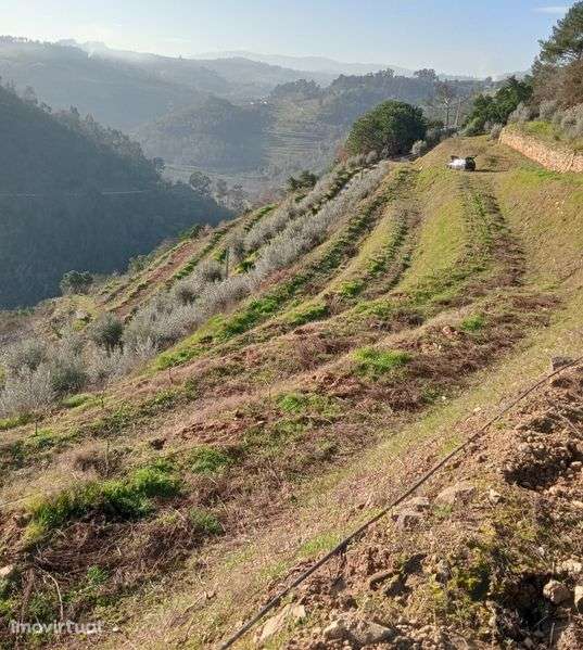 Terreno agrícola - Grande imagem: 2/7