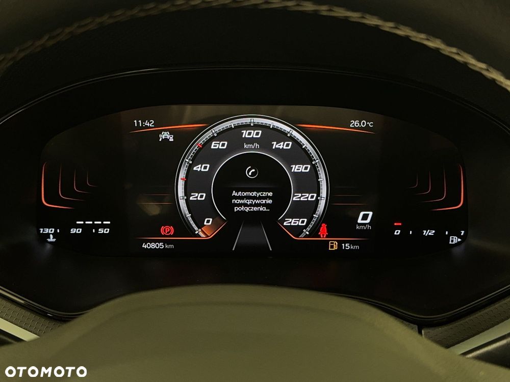 Seat Ibiza - 19