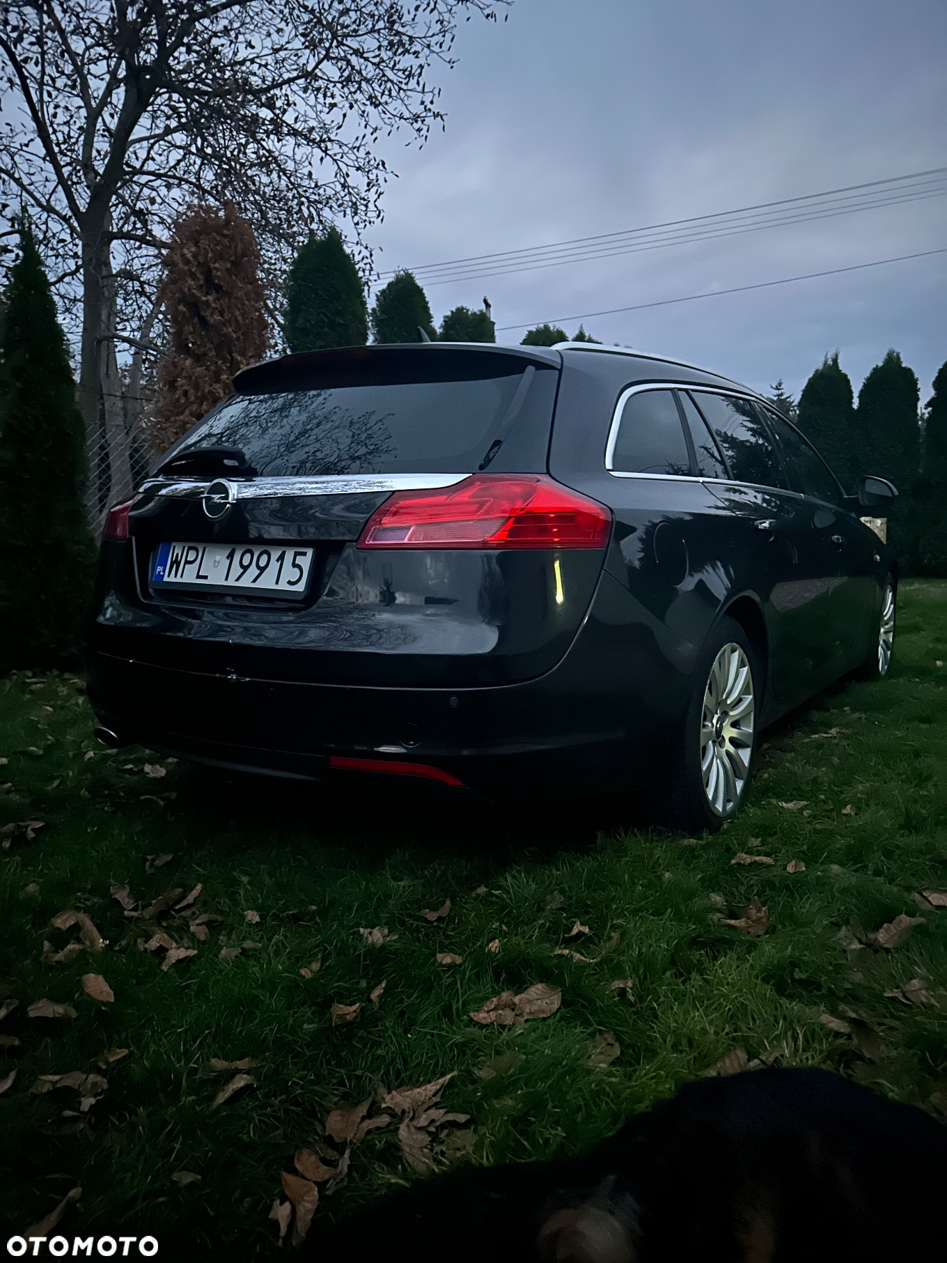 Opel Insignia 2.0 CDTI Edition ecoFLEX - 9