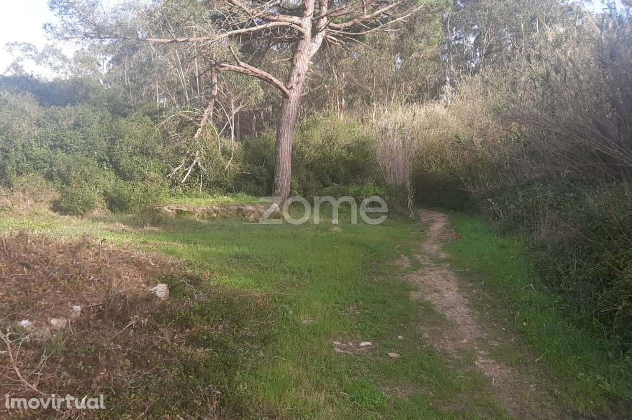 Terreno Rustico, União das freguesias de São das lampas e terrugem - Grande imagem: 2/8