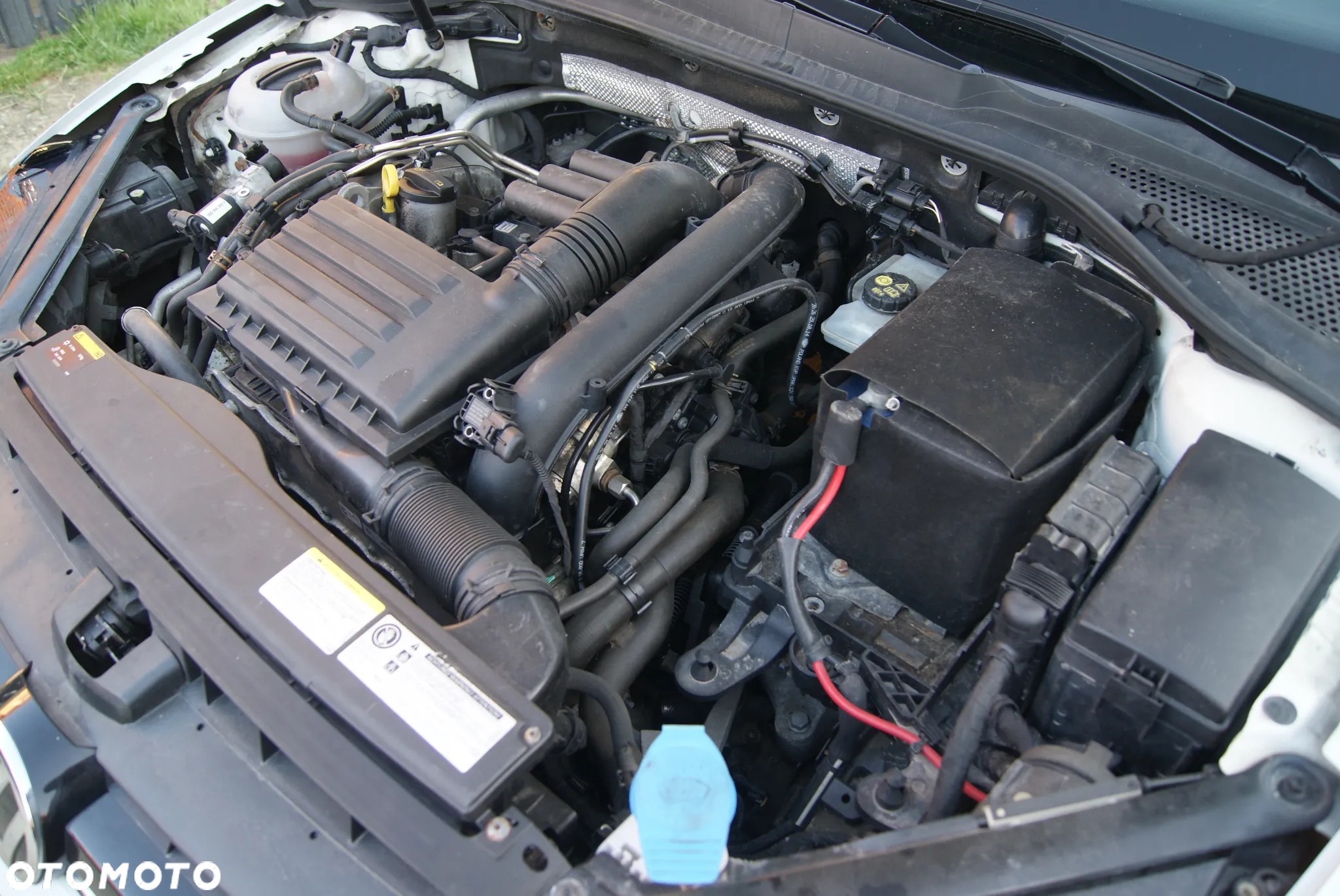 Volkswagen Golf - 23