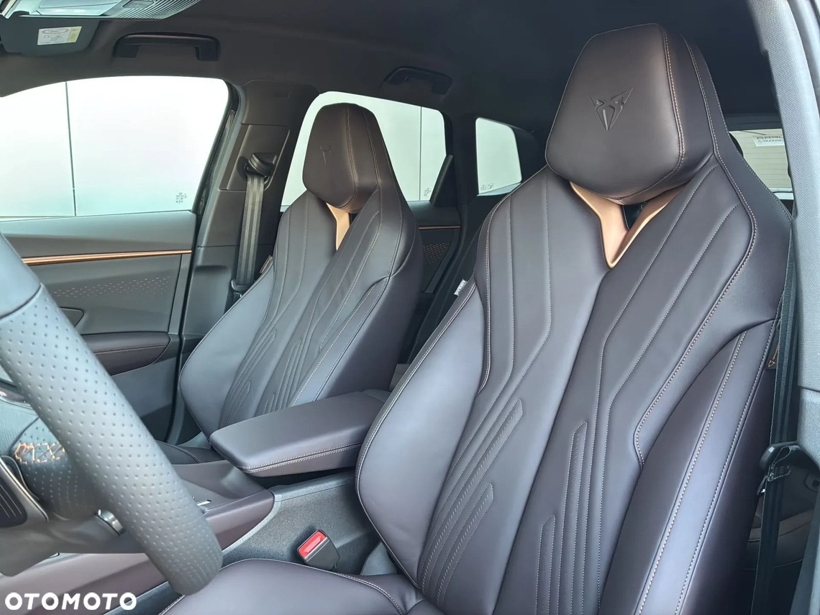 Cupra Terramar - 6