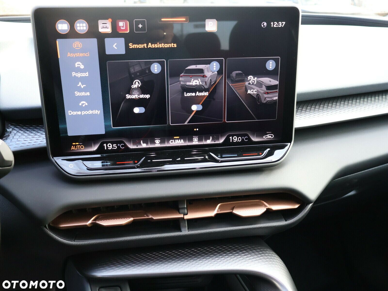 Cupra Terramar - 32