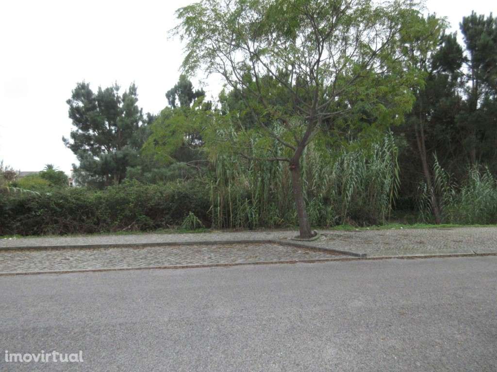 3 Lotes de terreno para construção - Grande imagem: 3/3