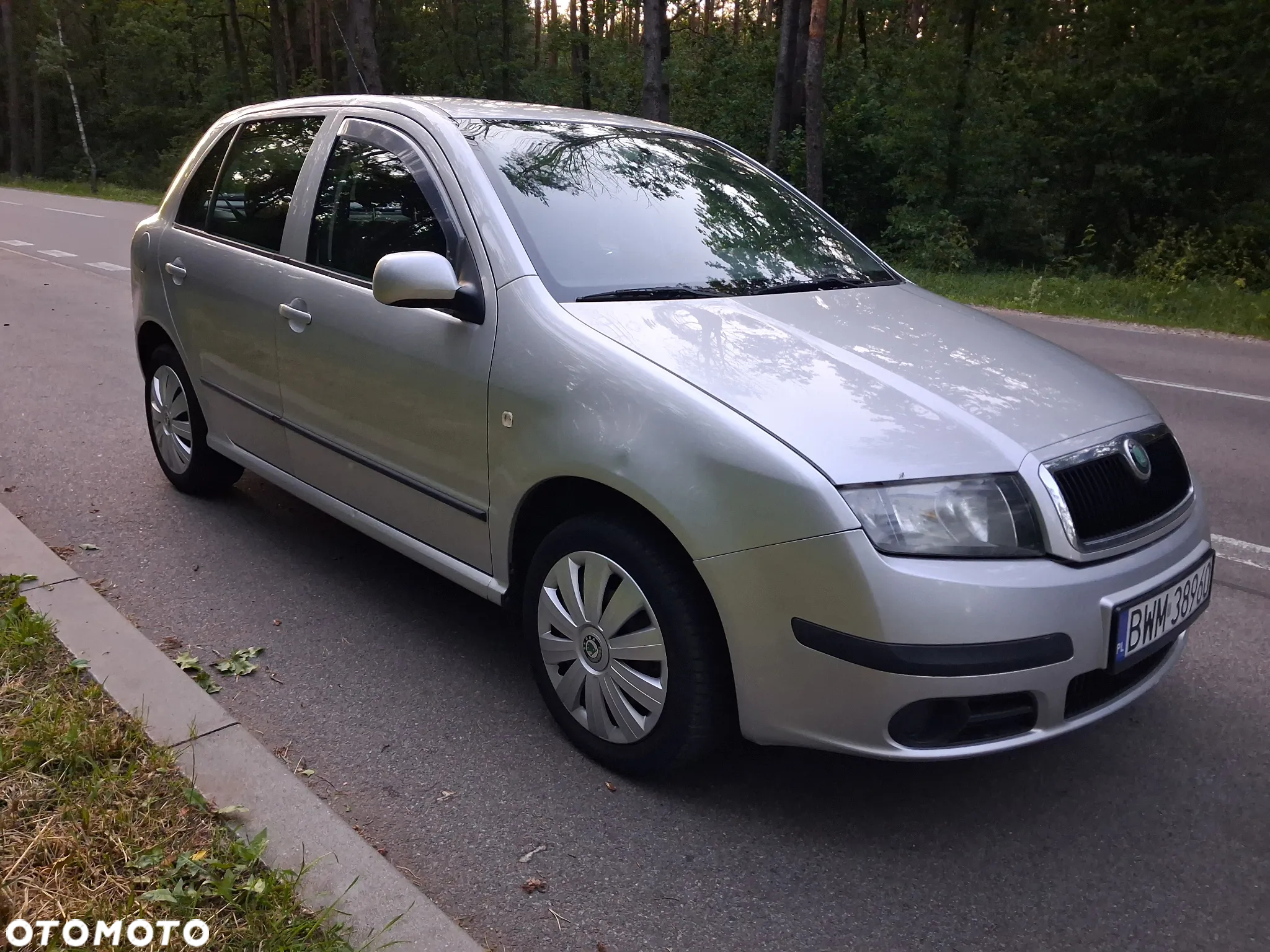 Skoda Fabia - 6