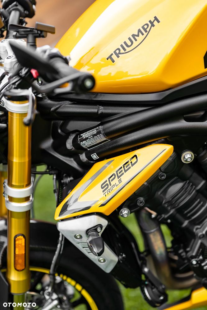 Triumph Speed Triple - 16