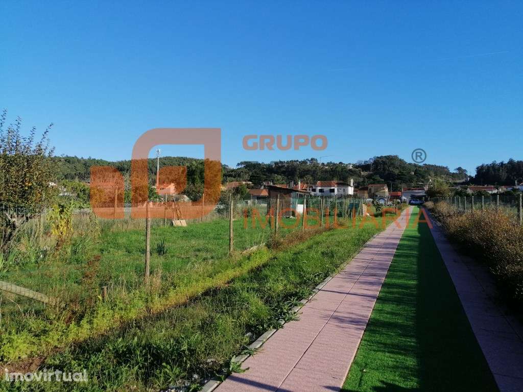 Propriedade tipo quintinha a 5 minutos de São Martinho do Porto! - Grande imagem: 3/48