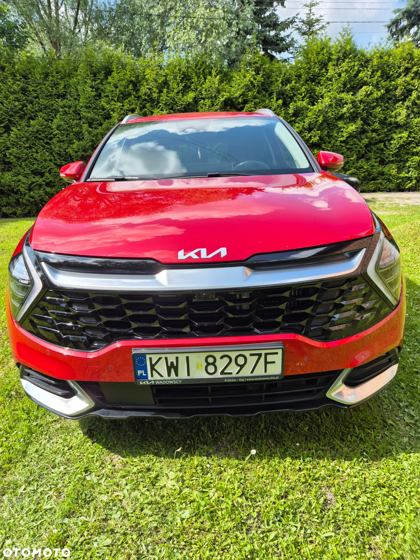 Kia Sportage 1.6 T-GDI HEV Business Line 4WD - 5