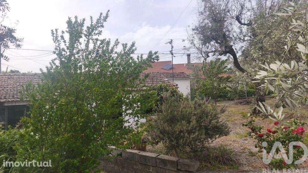 Casa / Villa T3 em  de 54 m2 - Grande imagem: 2/5