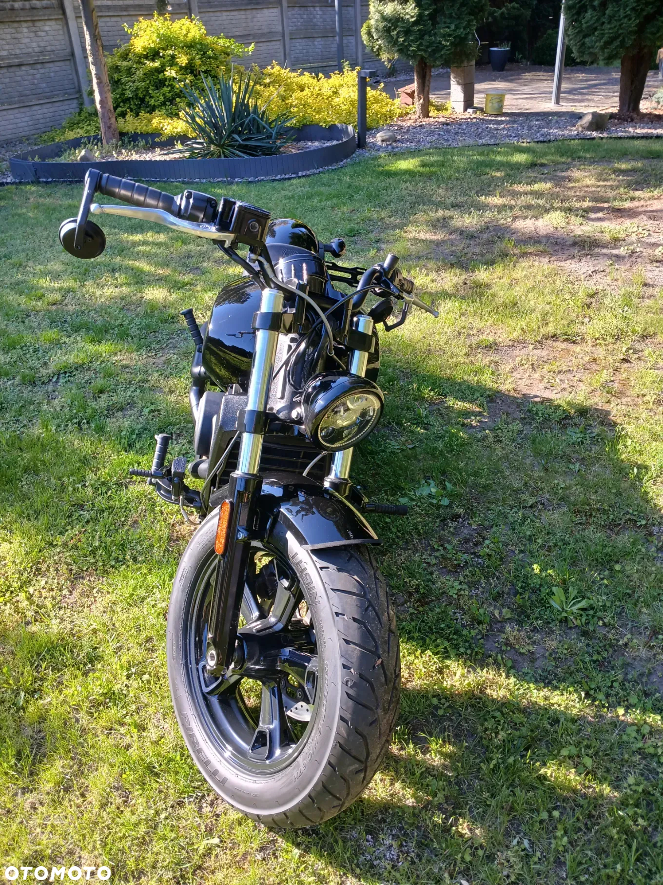 Indian Scout - 2