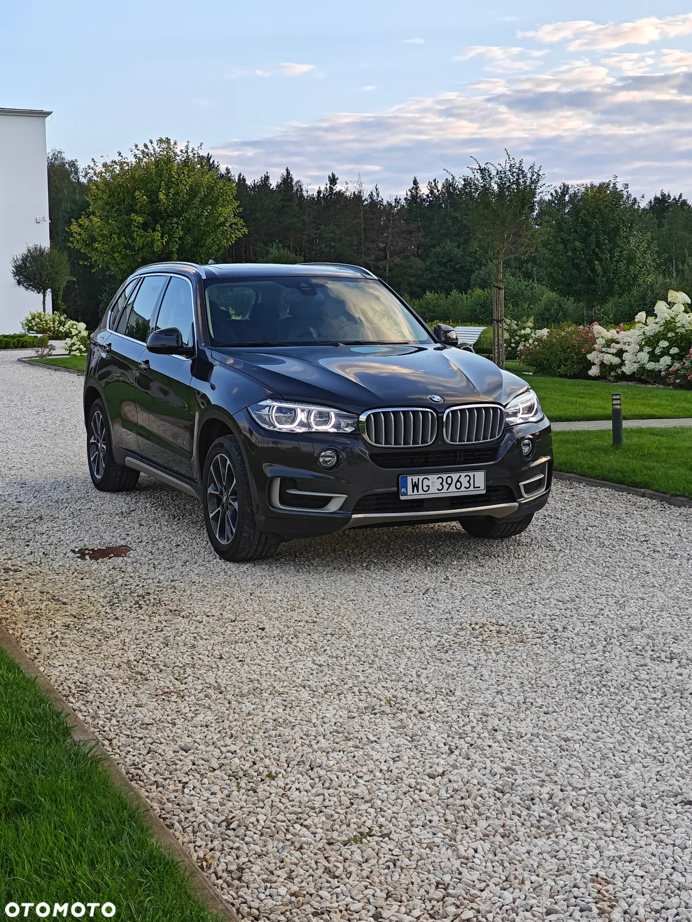 BMW X5 xDrive30d - 2