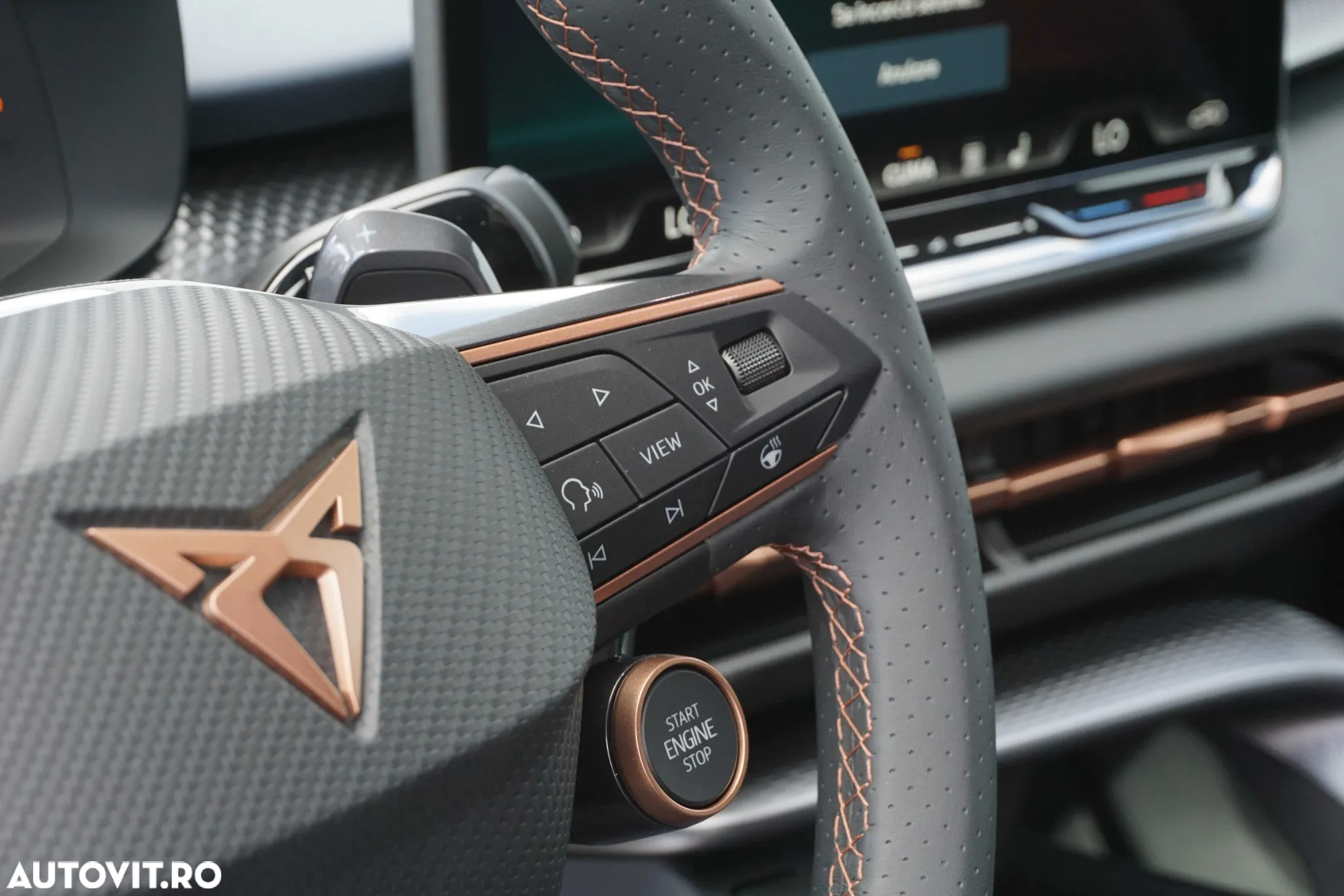 Cupra Terramar - 17