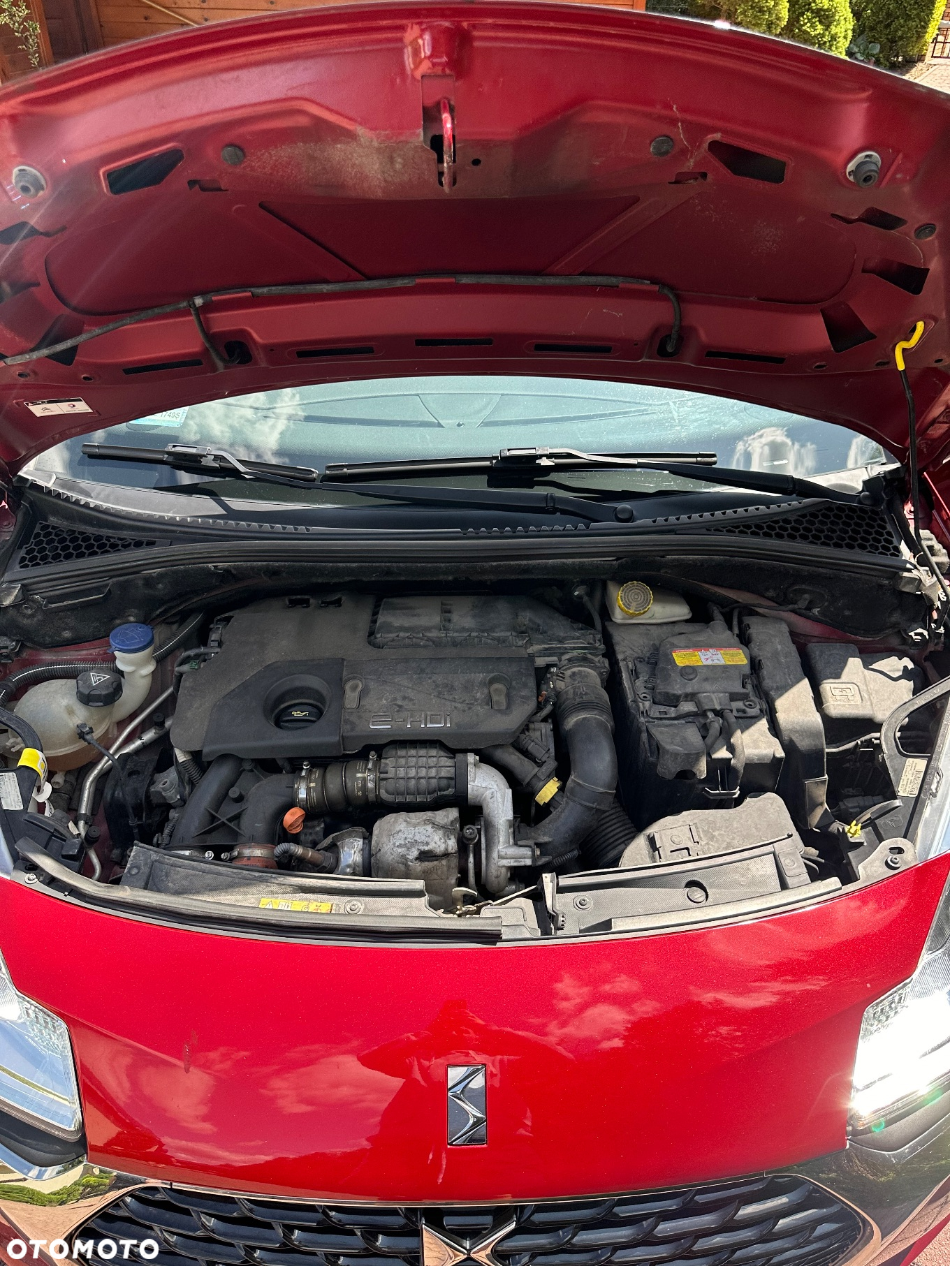Citroën DS3 1.6 HDi SoChic - 32