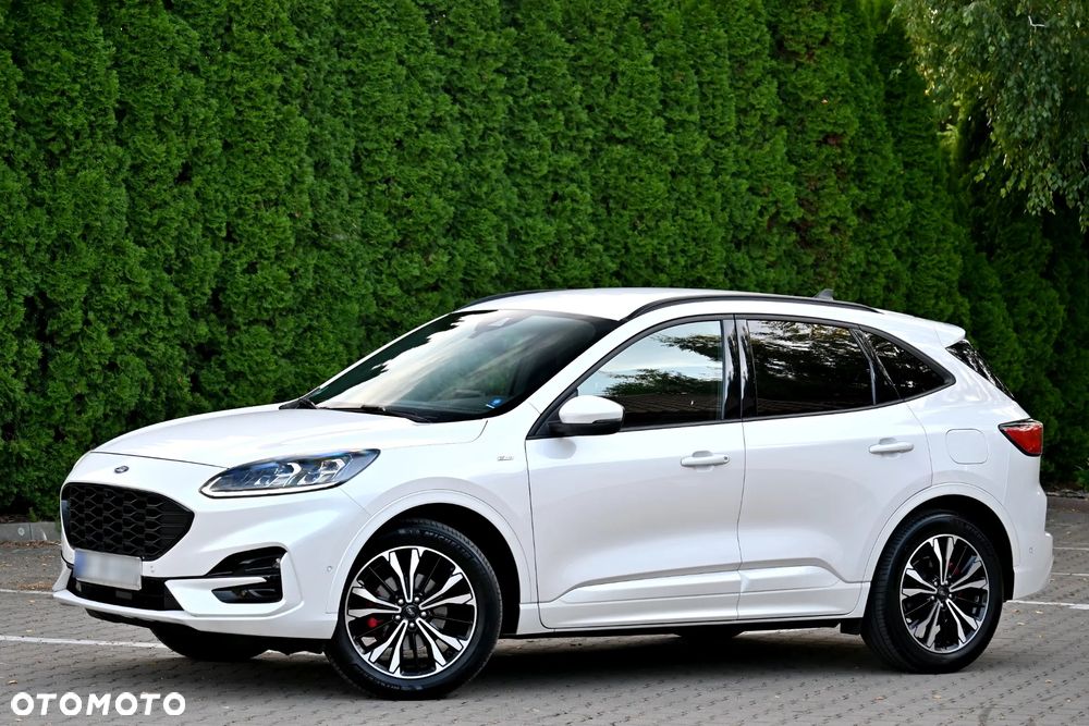 Ford Kuga 2.0 EcoBlue 4x4 ST-LINE X - 10