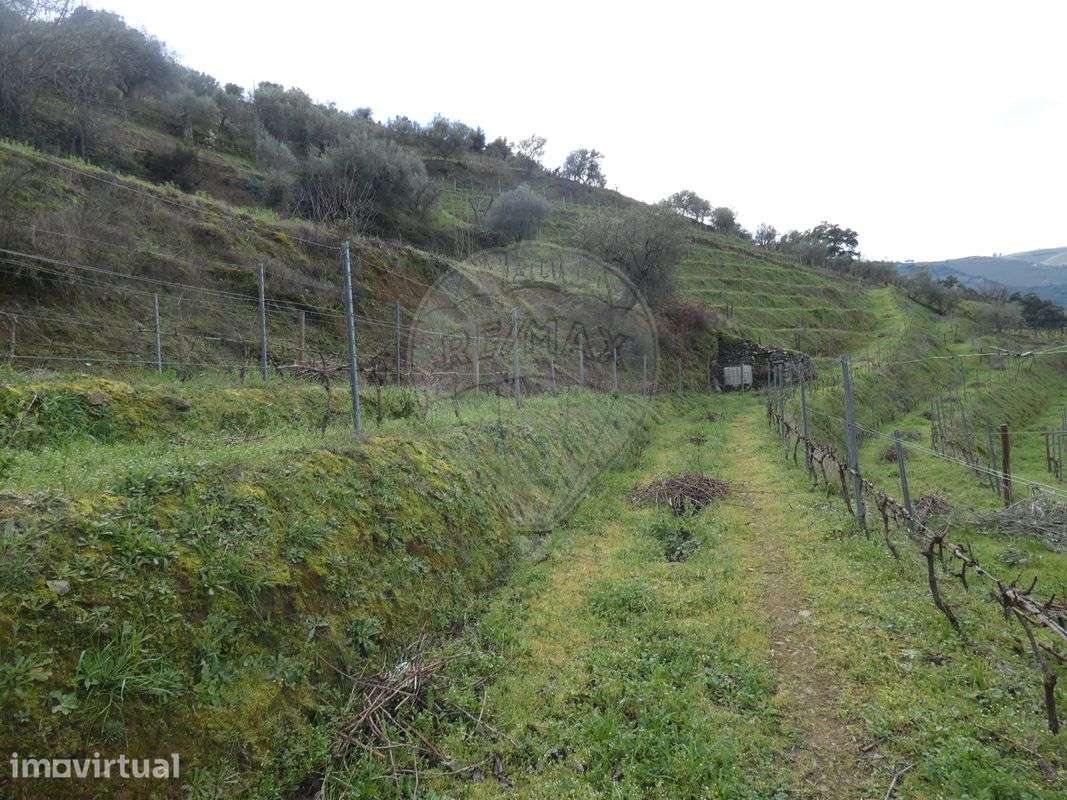 Terreno  para venda - Grande imagem: 5/14