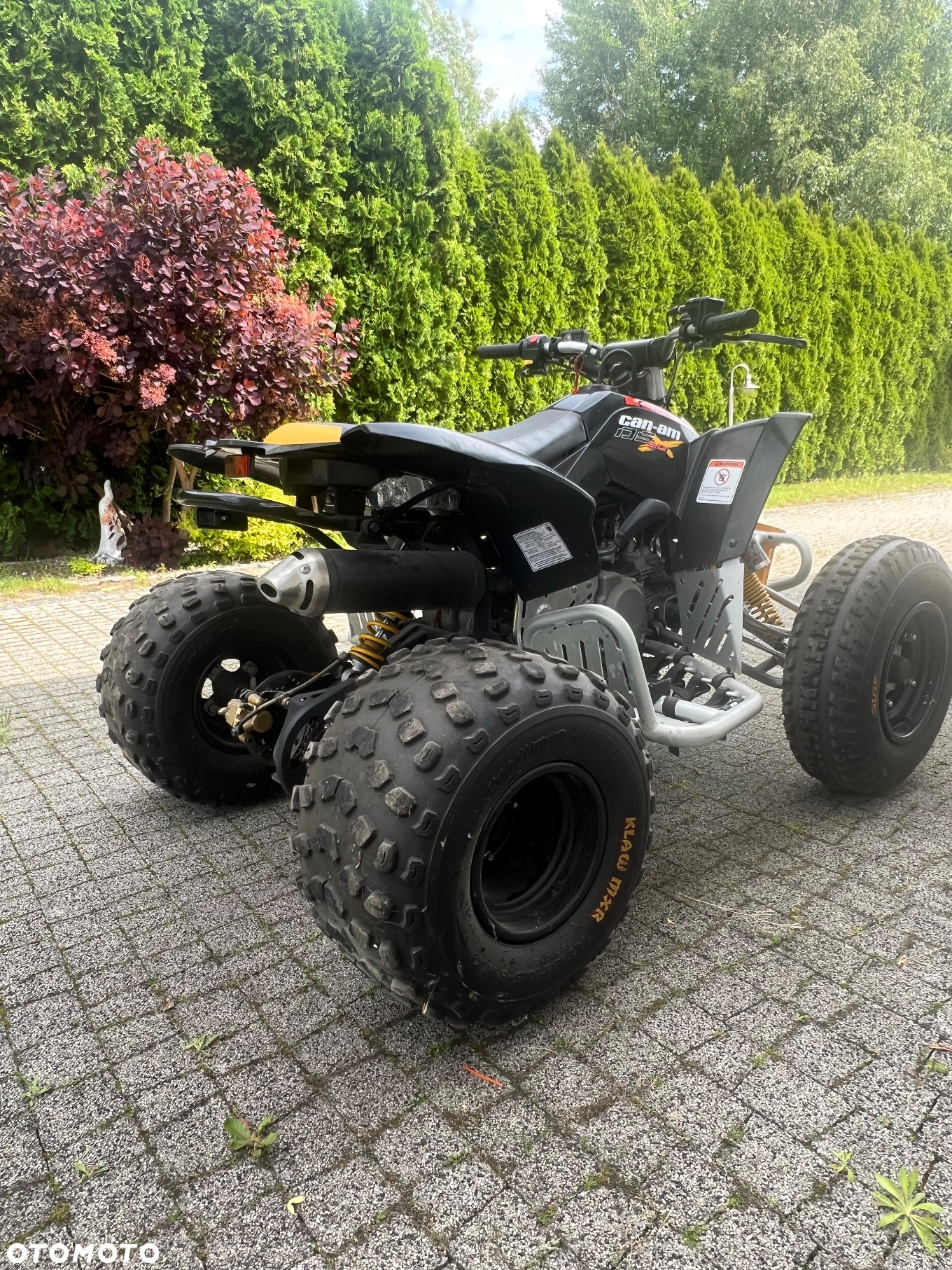 Can-Am DS