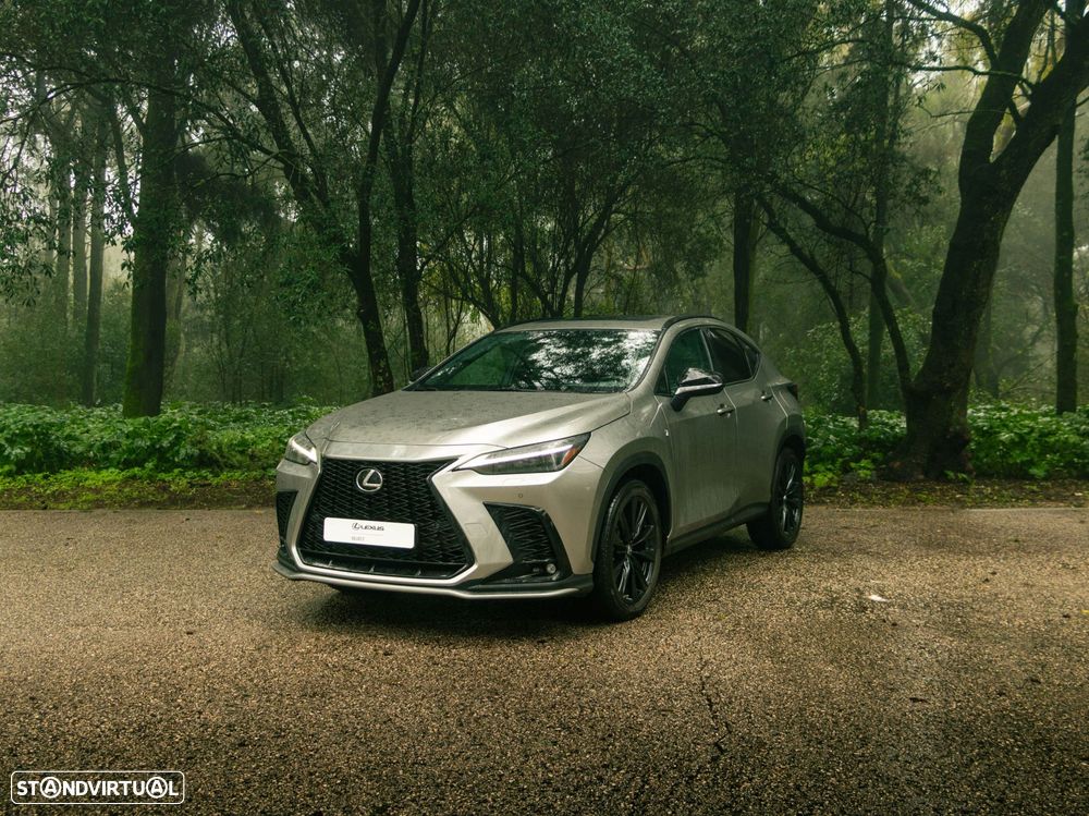 Lexus NX 450h+ - 1