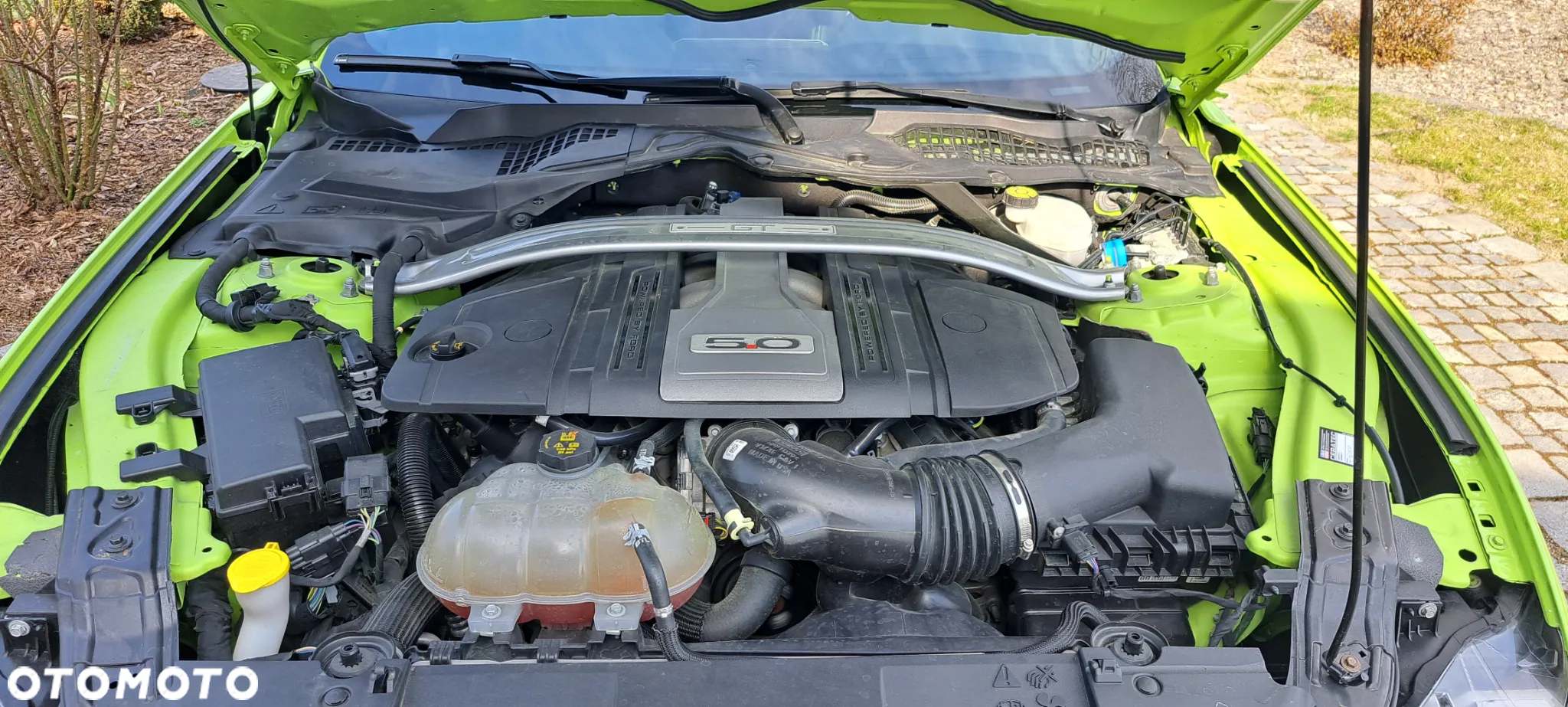 Ford Mustang Fastback 5.0 Ti-VCT V8 BULLITT - 11