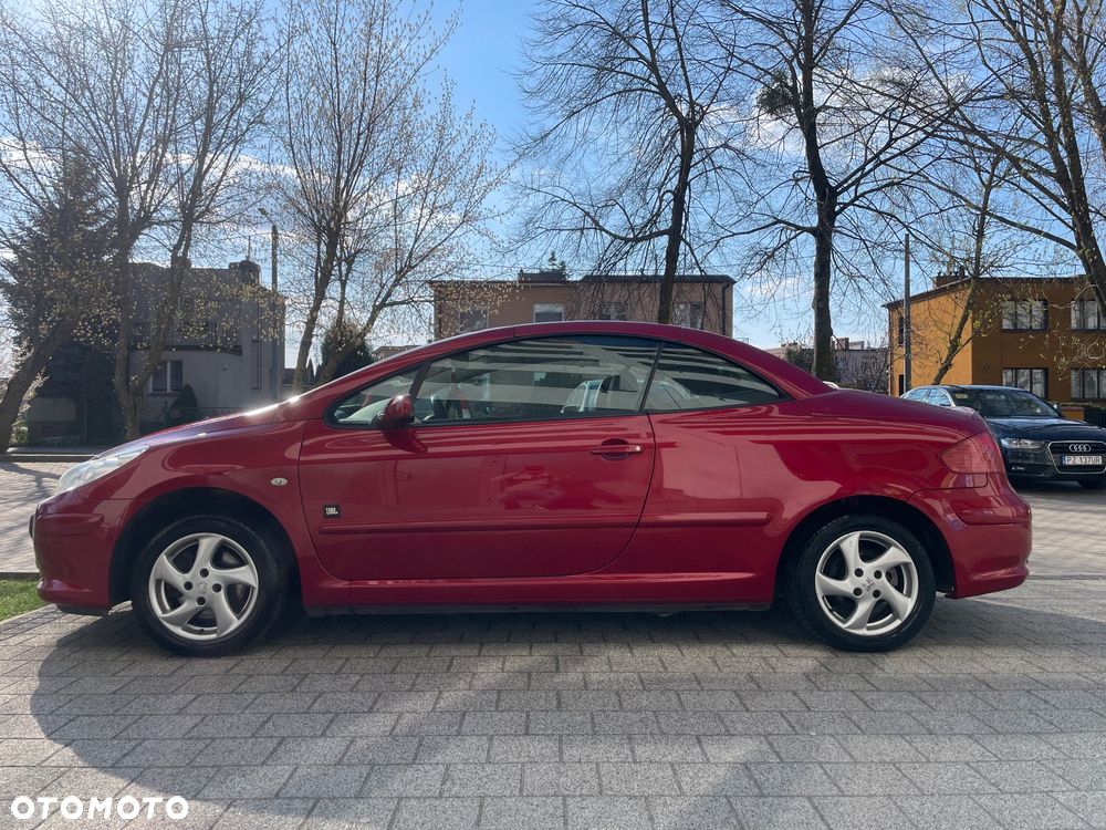 Peugeot 307 2.0 Sporty - 8