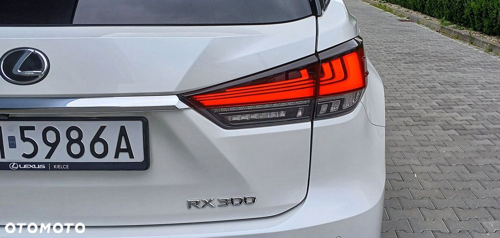 Lexus RX - 13