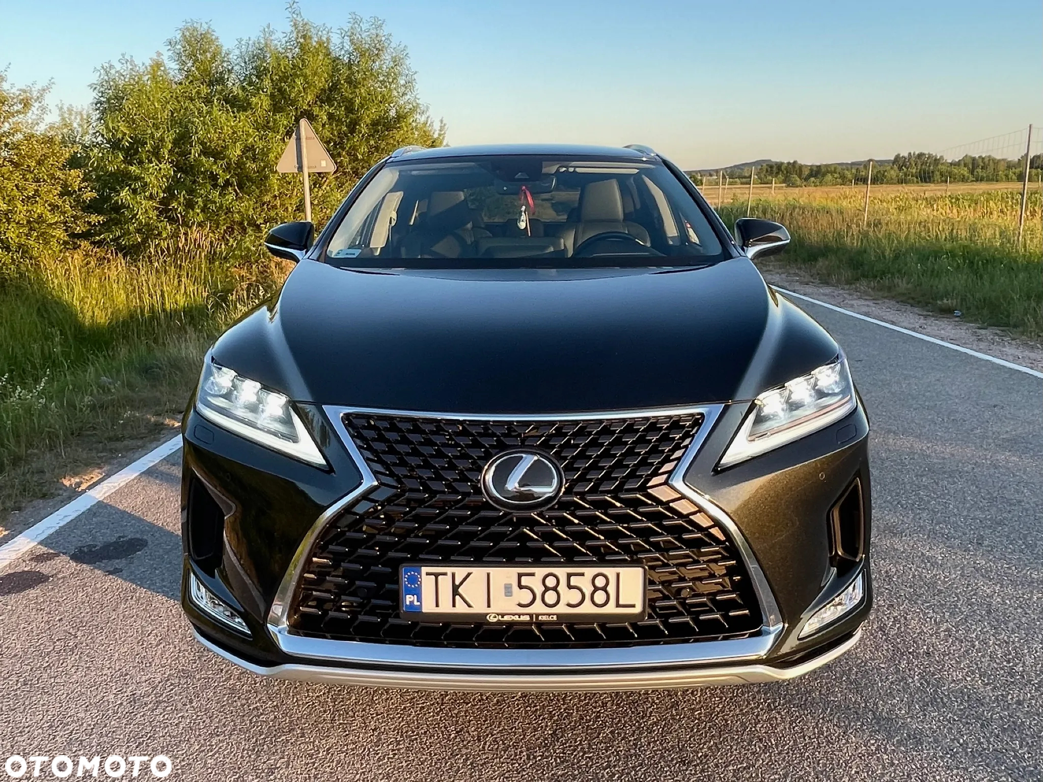 Lexus RX 300 Business Edition + - 2
