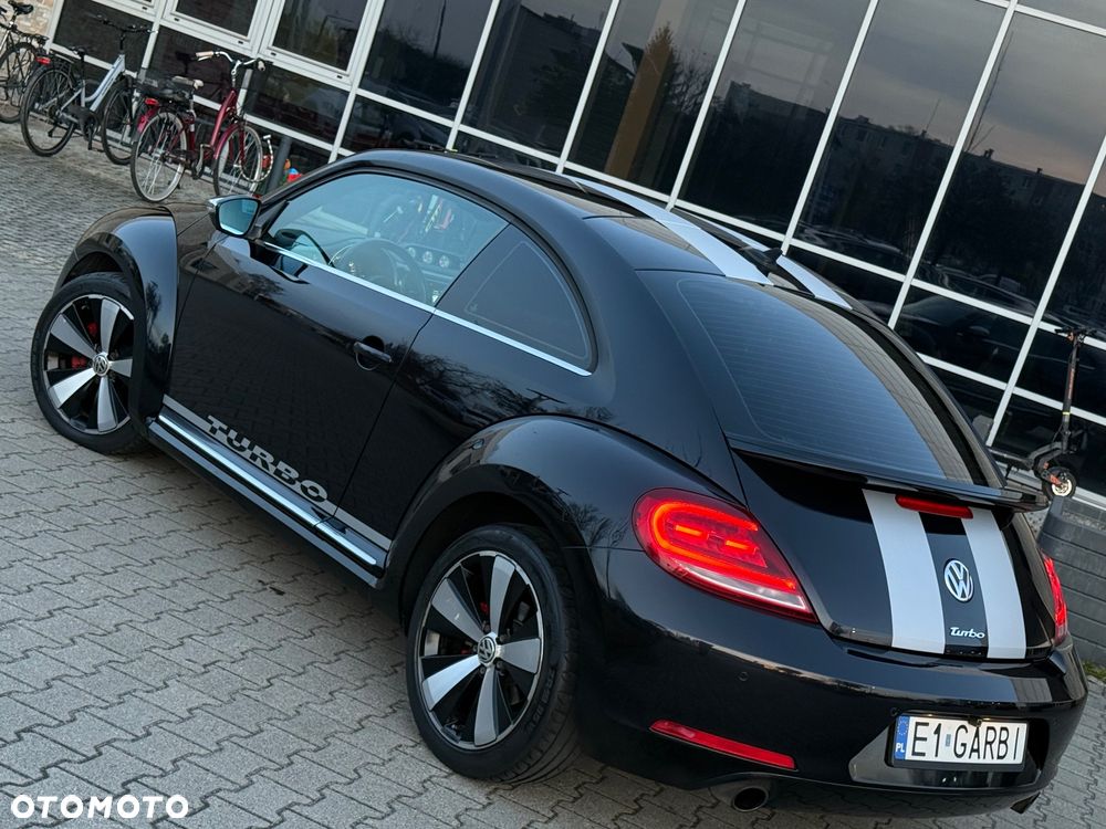 Volkswagen Beetle - 3