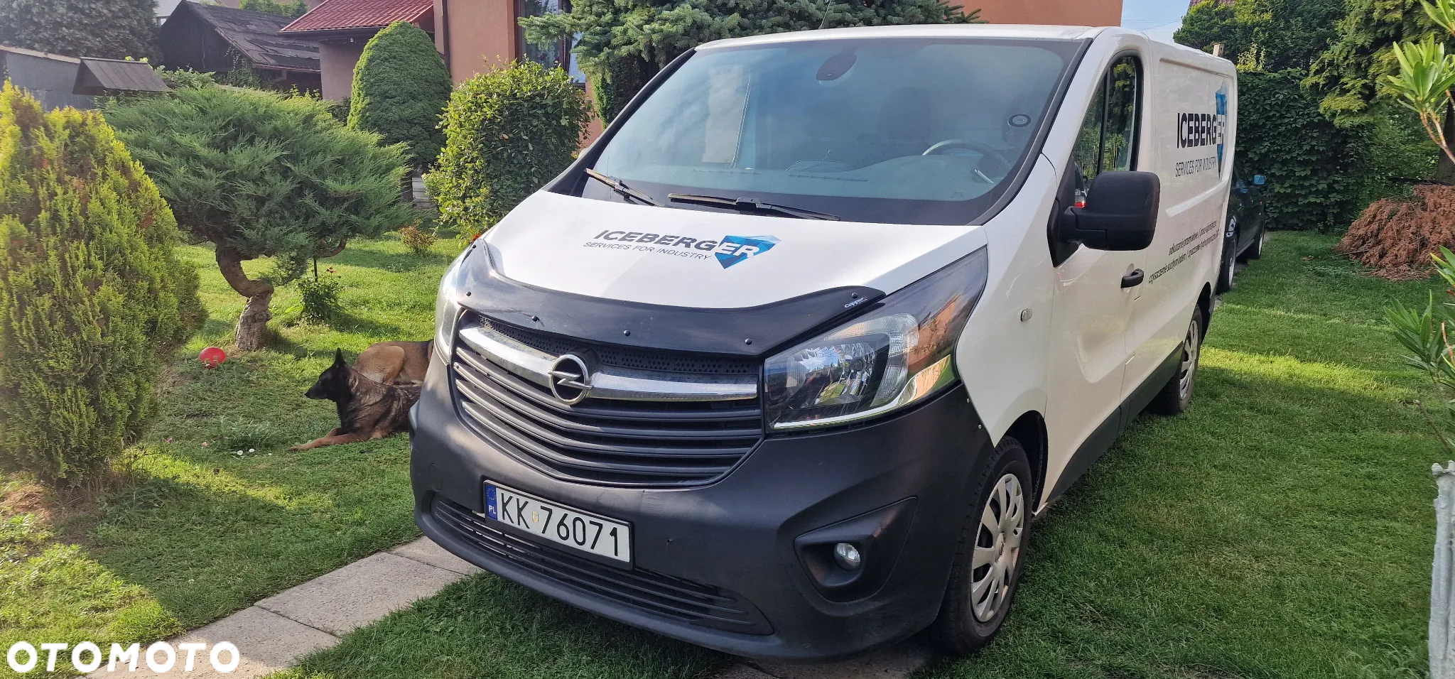 Opel Vivaro L2H1 2,9t Edition Business - 2