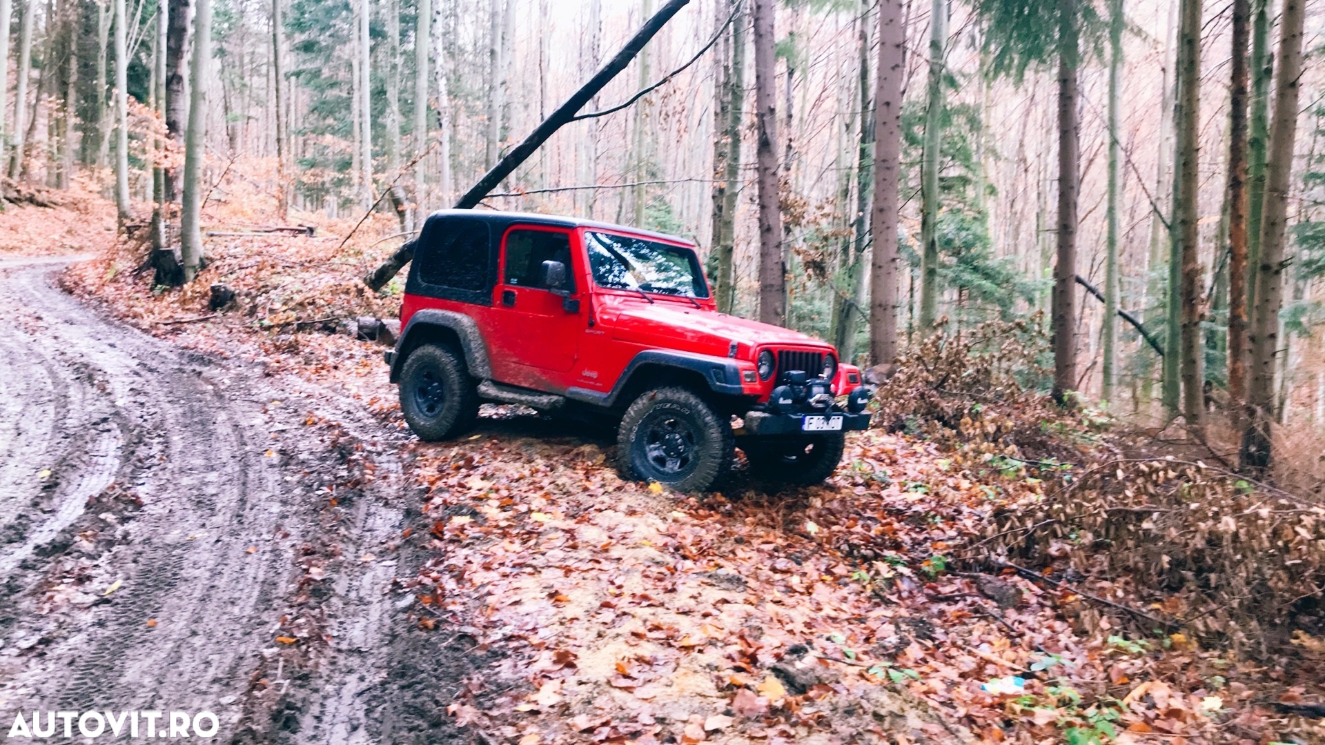 Jeep Wrangler - 4