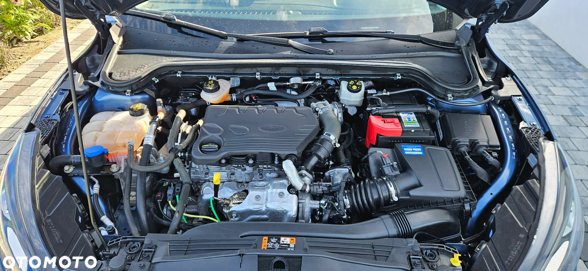 Ford Focus - 11