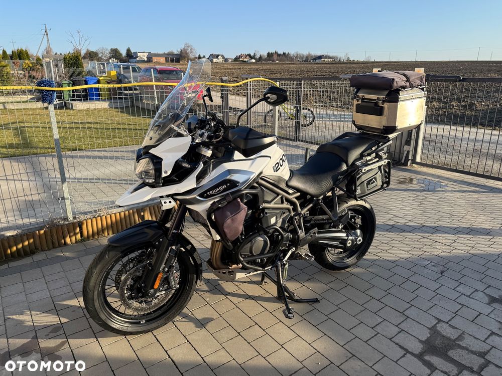 Triumph Tiger - 1